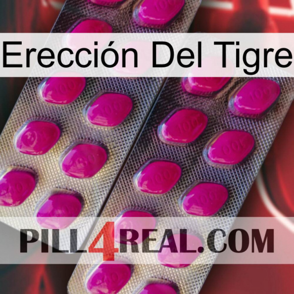 Erección Del Tigre 10.jpg